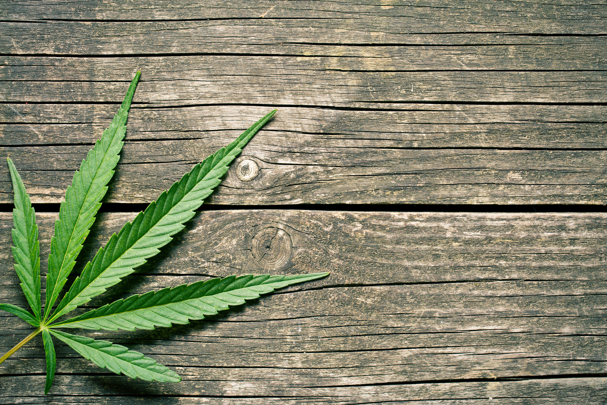 Texas Marijuana Laws – What You Need to Know